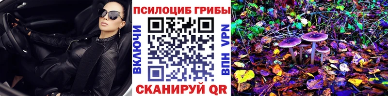 Галлюциногенные грибы MAGIC MUSHROOMS  blacksprut вход  Ачхой-Мартан 