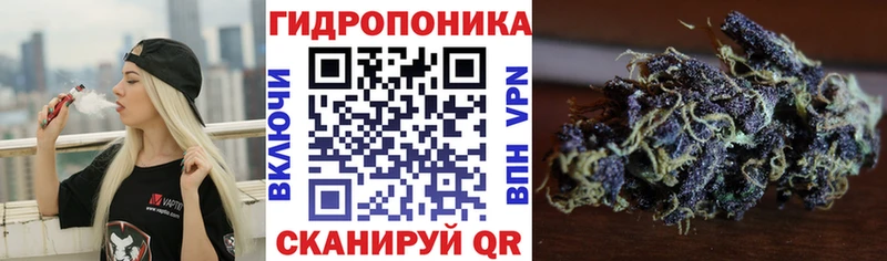 Марихуана планчик  shop официальный сайт  Ачхой-Мартан  дарнет шоп 